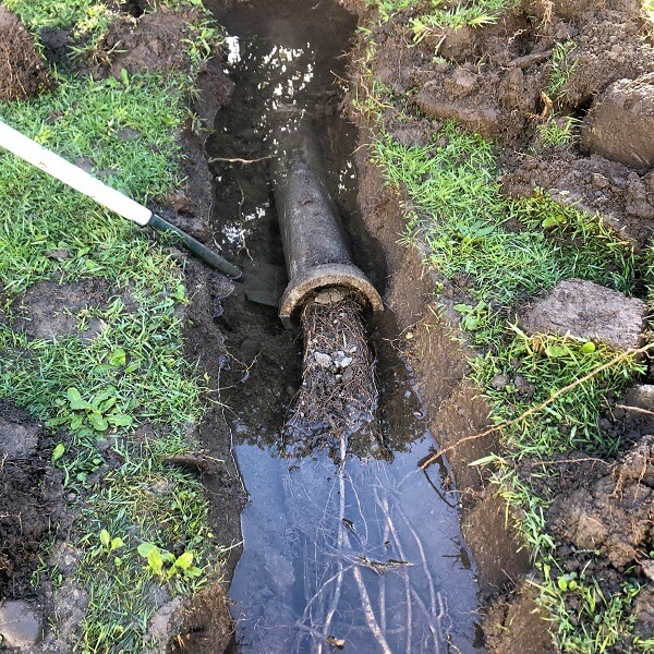 Blocked Drain